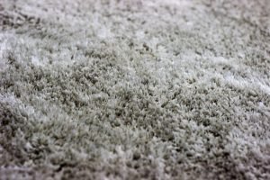 close up image of clean carpet